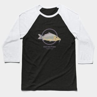 Giant Cory Catfish Baseball T-Shirt